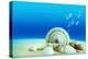 The Underwater World,Seashells with Underwater Background.-Liang Zhang-Premier Image Canvas