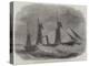 The Union Steam-Ship Company's Cape Mail Steamer Briton-Edwin Weedon-Premier Image Canvas
