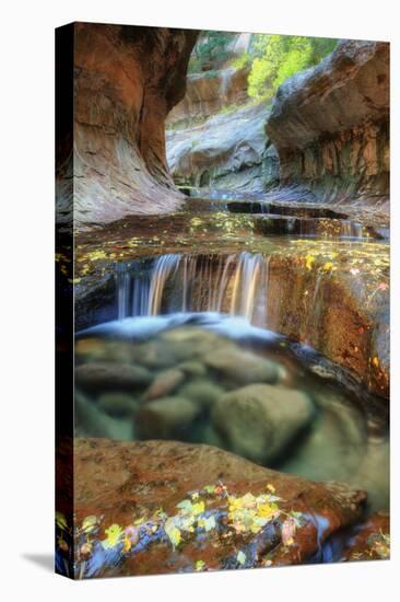 The Unique and Mysterious Subway at Zion-Vincent James-Premier Image Canvas