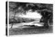 The Vale of Avoca, 1895-Joseph Francis Walker-Premier Image Canvas