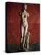 The Venus Tauride or Venus of Tauris, 2nd Century Ad-null-Premier Image Canvas