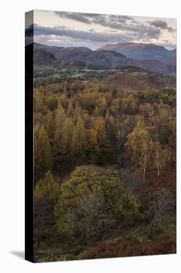 The view at twilight from Holme Fell, Lake District National Park, Cumbria, England, United Kingdom-Jon Gibbs-Premier Image Canvas