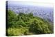 The View Out over Sapporo City from the Summit of Mt Maruyama, Hokkaido, Japan-Paul Dymond-Premier Image Canvas
