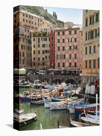 The Village of Camogli, Liguria, Italy, Europe-Angelo Cavalli-Premier Image Canvas