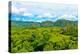 The Vinales Valley in Cuba, a Famous Tourist Destination and a Major Tobacco Growing Area-Kamira-Premier Image Canvas