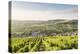 The vineyards of Sancerre above Chavignol, Cher, Centre, France, Europe-Julian Elliott-Premier Image Canvas