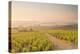 The Vineyards of Sancerre in the Loire Valley, Cher, Centre, France, Europe-Julian Elliott-Premier Image Canvas
