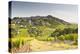 The Vineyards of Sancerre in the Loire Valley, Cher, Centre, France, Europe-Julian Elliott-Premier Image Canvas