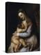 The Virgin and Child, C1570-1576-Titian (Tiziano Vecelli)-Premier Image Canvas