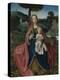 The Virgin and Child in a Landscape, Early16th C-Jan Provost-Premier Image Canvas