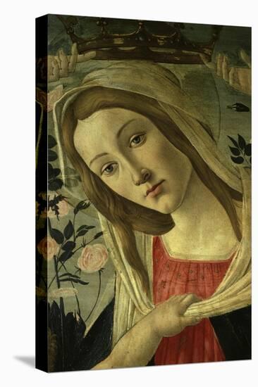 The Virgin and Child Surrounded by Angels-Sandro Botticelli-Premier Image Canvas