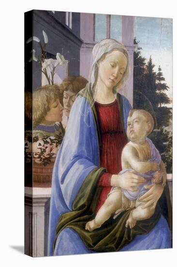 The Virgin and Child with Two Angels, 1472-1475-Filippino Lippi-Premier Image Canvas