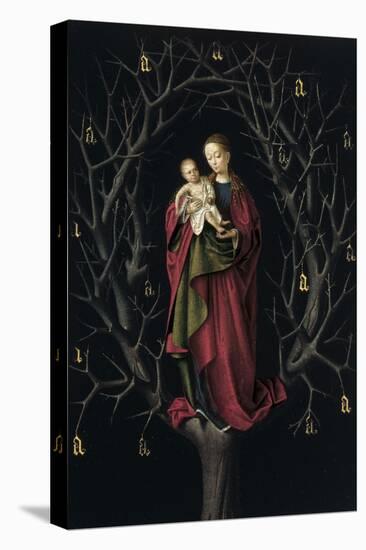 The Virgin of the Dry Tree, Ca 1465-Petrus Christus-Premier Image Canvas