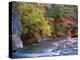 The Virgin River Flows Through the Narrows, Zion National Park, Utah, Usa-Dennis Flaherty-Premier Image Canvas