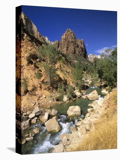 The Virgin River, Zion National Park, Utah, USA-Michael DeFreitas-Premier Image Canvas