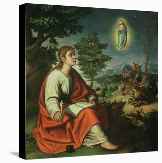 The Vision of St. John the Evangelist on Patmos-Juan Sanchez Cotan-Premier Image Canvas