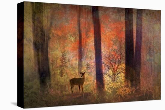 The Visitor-Jessica Jenney-Premier Image Canvas