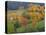 The Vosges, Alsace-Lorraine, France, Europe-John Miller-Premier Image Canvas