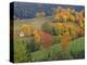 The Vosges, Alsace-Lorraine, France, Europe-John Miller-Premier Image Canvas