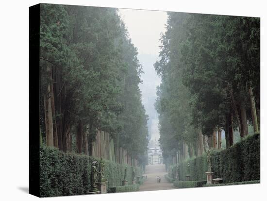 The Walk in the Boboli Gardens Know as the "Viottolone"-null-Premier Image Canvas