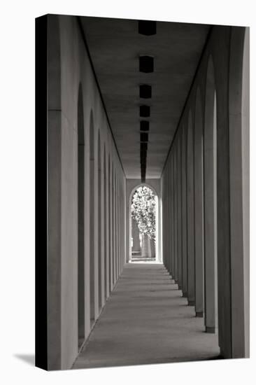 The Walkway-Tammy Putman-Premier Image Canvas