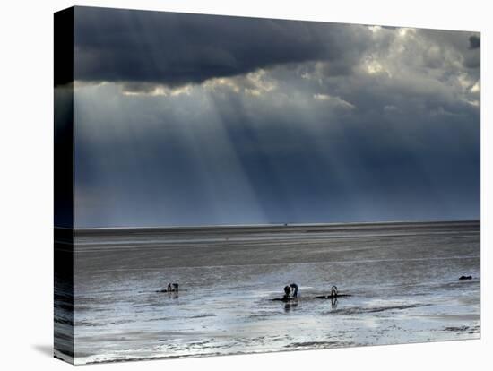 The Wash, Norfolk, Beach Landscape with Storm Clouds and Bait Diggers, UK-Gary Smith-Premier Image Canvas