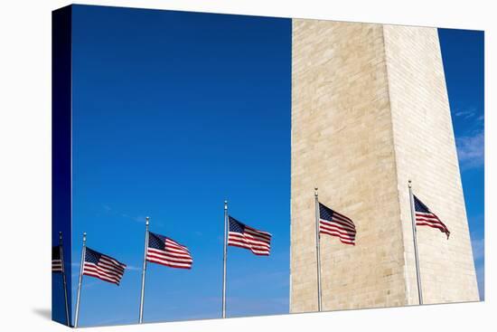 The Washington Monument, Washington DC, USA-Russ Bishop-Premier Image Canvas