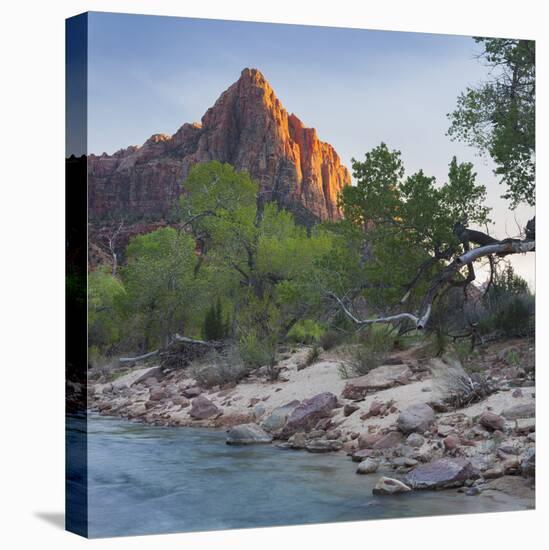 The Watchman, Virgin River, Zion National Park, Utah, Usa-Rainer Mirau-Premier Image Canvas