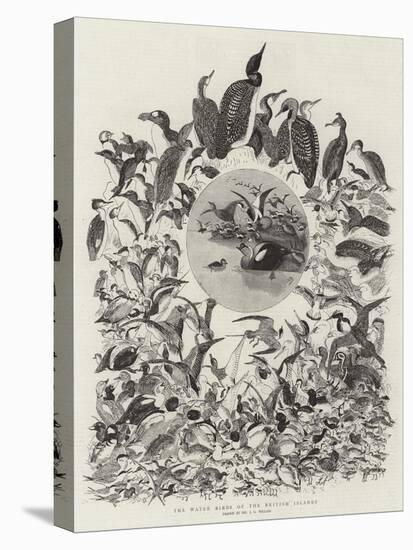 The Water Birds of the British Islands-John Everett Millais-Premier Image Canvas