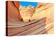 The Wave, Arizona-lucky-photographer-Premier Image Canvas