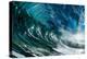 The Wave-PhotoINC-Premier Image Canvas