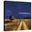 The Way Home-Tandi Venter-Stretched Canvas