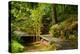 The Way to the Meditation Hall (Dojo) in the Garden of Zen Temple Ryumonji-null-Premier Image Canvas