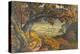 The Weald of Kent, C.1827-28 (W/C and Gouache on Paper)-Samuel Palmer-Premier Image Canvas