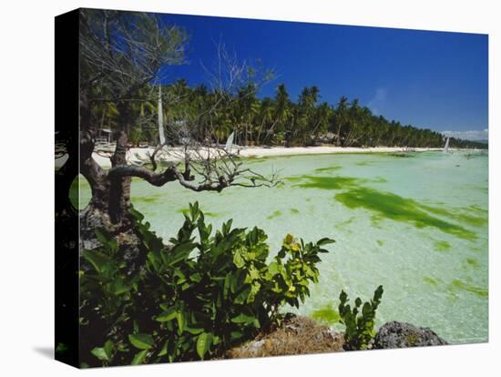 The West Coast of the Island of Boracay, off the Coast of Panay, Philippines, Asia-Robert Francis-Premier Image Canvas