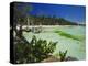 The West Coast of the Island of Boracay, off the Coast of Panay, Philippines, Asia-Robert Francis-Premier Image Canvas