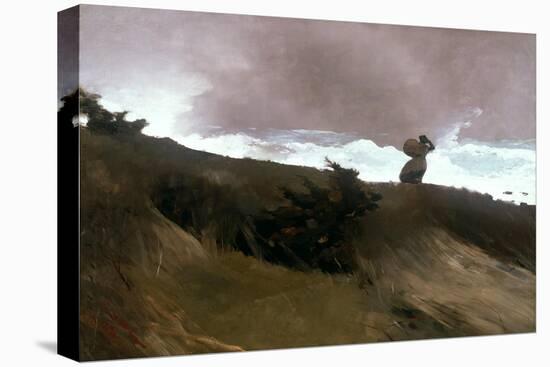 The West Wind, 1891 (Oil on Canvas)-Winslow Homer-Premier Image Canvas