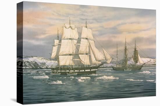 The Whaling Station-Jack Wemp-Premier Image Canvas