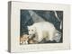 The White Bear, 1844-Aloys Zotl-Premier Image Canvas