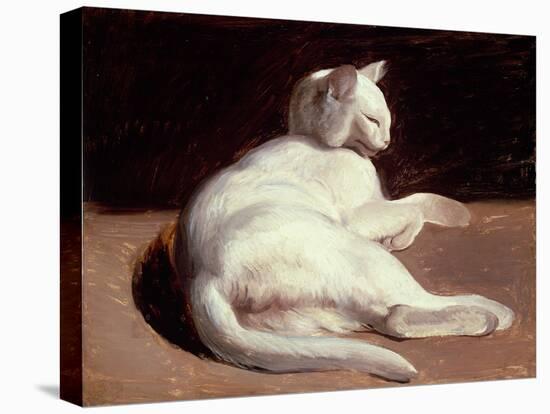 The White Cat, C.1817-18 (Oil on Canvas)-Theodore Gericault-Premier Image Canvas