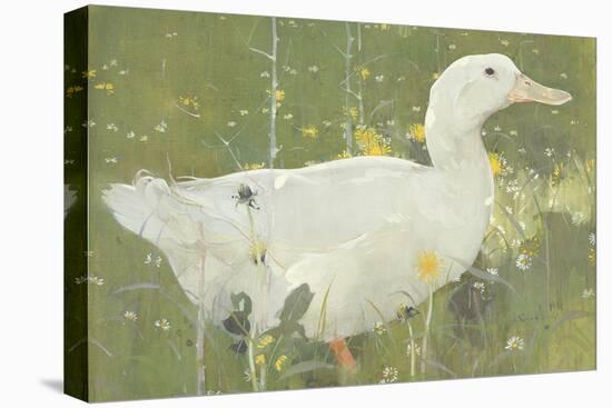 The White Drake-Joseph Crawhall-Premier Image Canvas