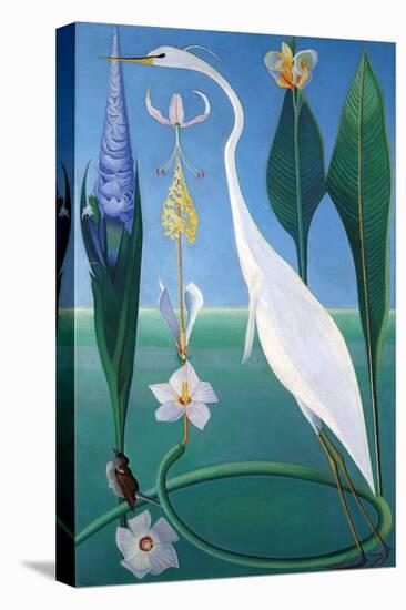 The White Heron-Joseph Stella-Stretched Canvas