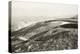 The White Horse Eye, and Dragon Hill, Uffington-null-Premier Image Canvas
