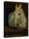 The White Horse "Gazelle"-Henri de Toulouse-Lautrec-Premier Image Canvas