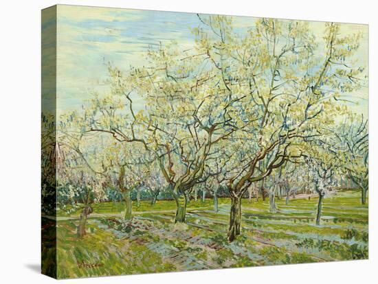 The White Orchard, 1888-Vincent van Gogh-Premier Image Canvas