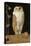 The White Owl, 1856-William J. Webbe-Premier Image Canvas