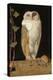 The White Owl, 1856-William J. Webbe-Premier Image Canvas