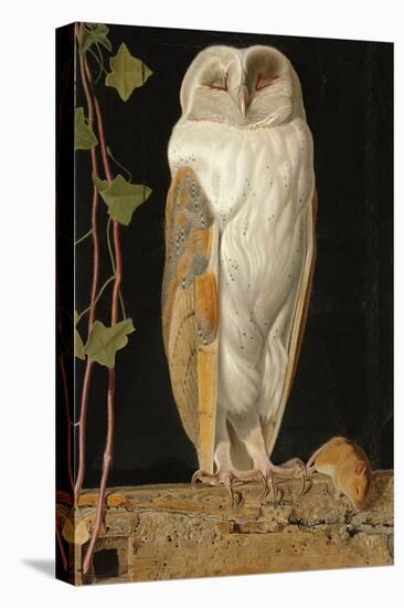 The White Owl: 'Alone and Warming His Five Wits, the White Owl in the Belfry Sits', 1856-William J. Webbe-Premier Image Canvas