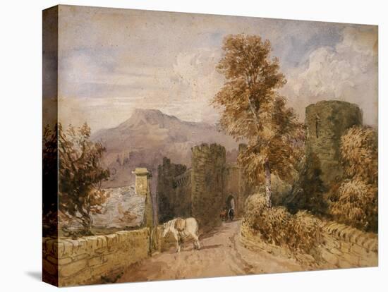 The White Pony, C.1831-David Cox-Premier Image Canvas