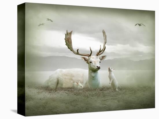 The White Stag-Lynne Davies-Premier Image Canvas